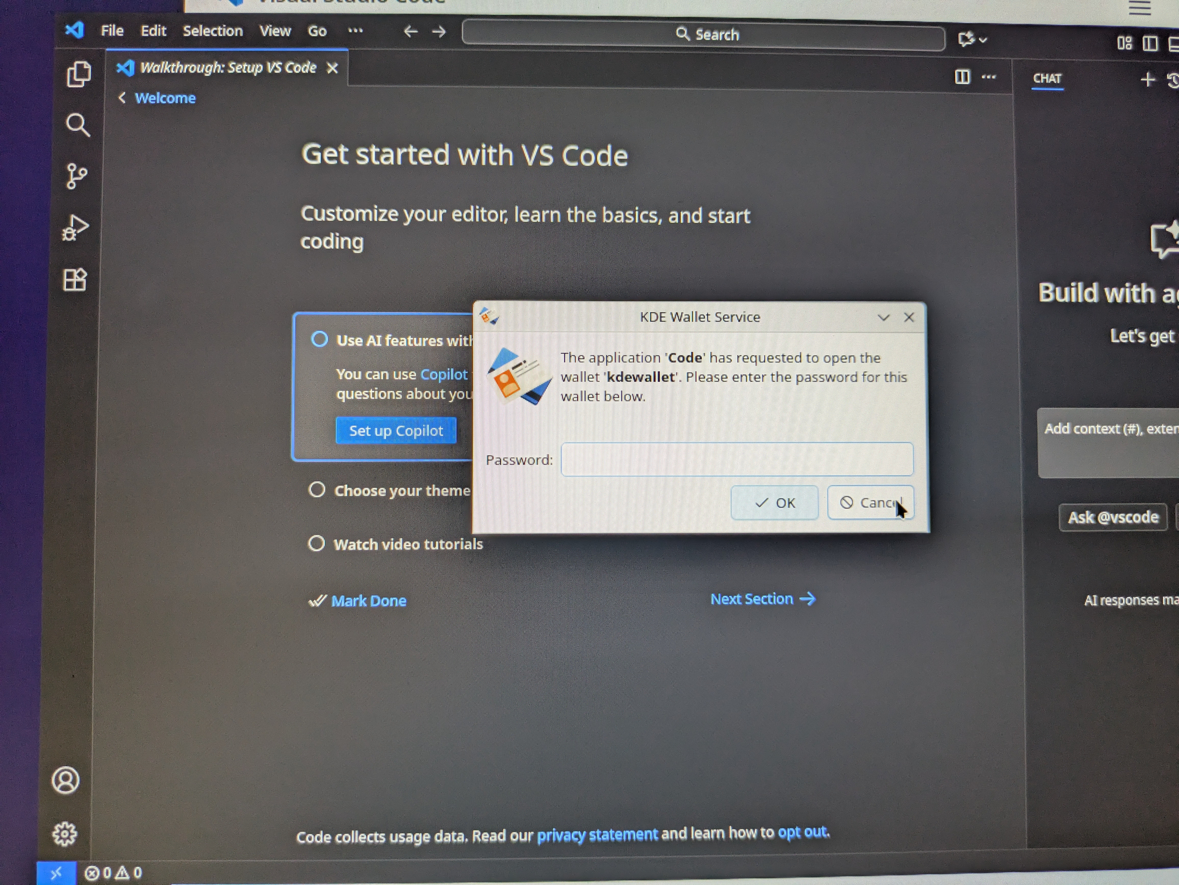 lauching vscode, it asks for wallet